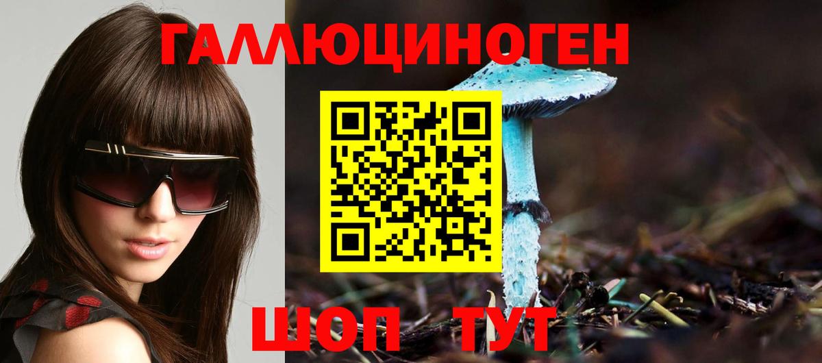 Галлюциногенные грибы Psilocybe  Вход с VPN  Луга 